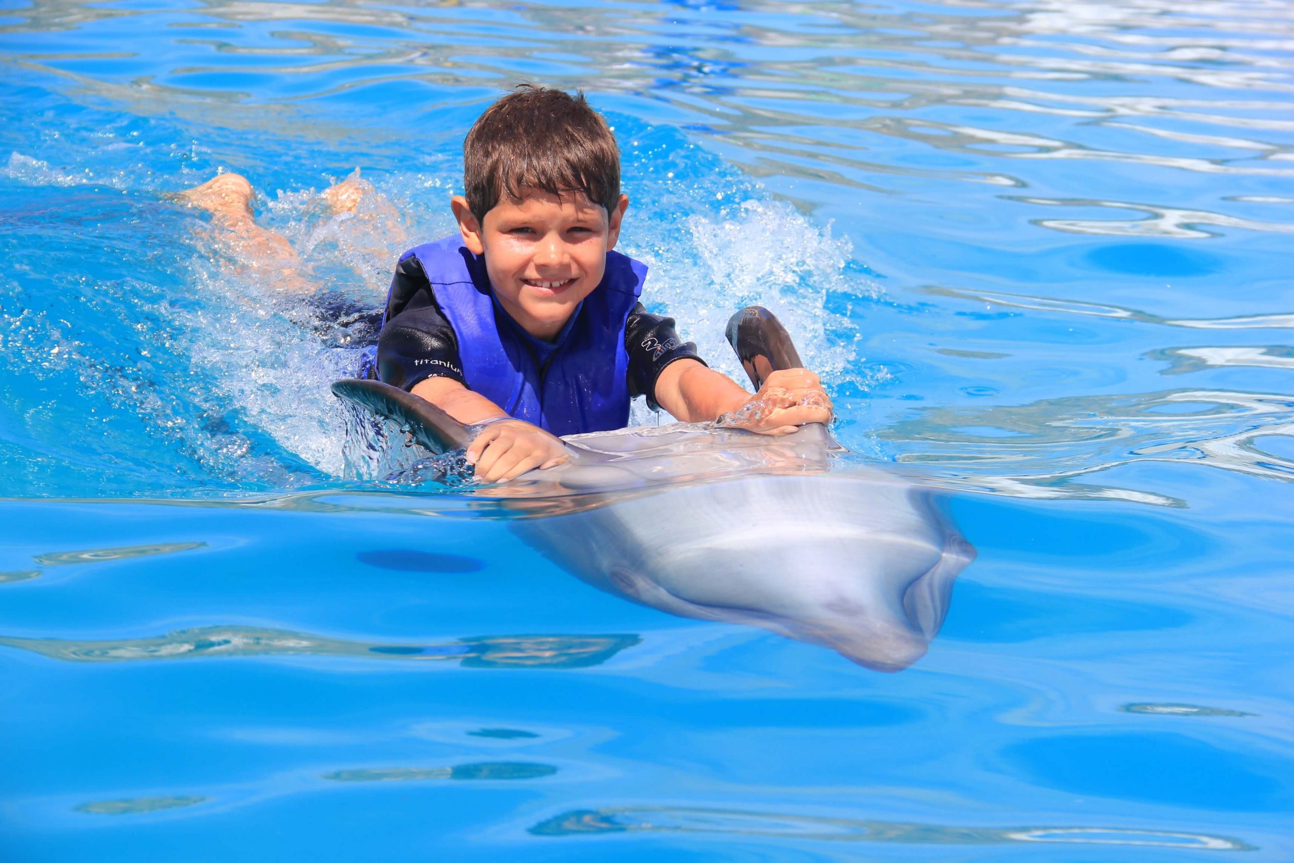 swimming with dolphins cabo